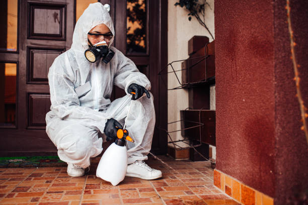 Reliable Mosquito Control contractor in Leisure Village West, NJ by Show Me Pest Control